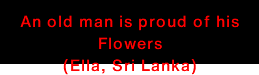 An old man is proud of his Flowers (Ella, Sri Lanka)