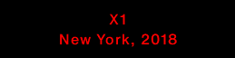 X1 New York, 2018